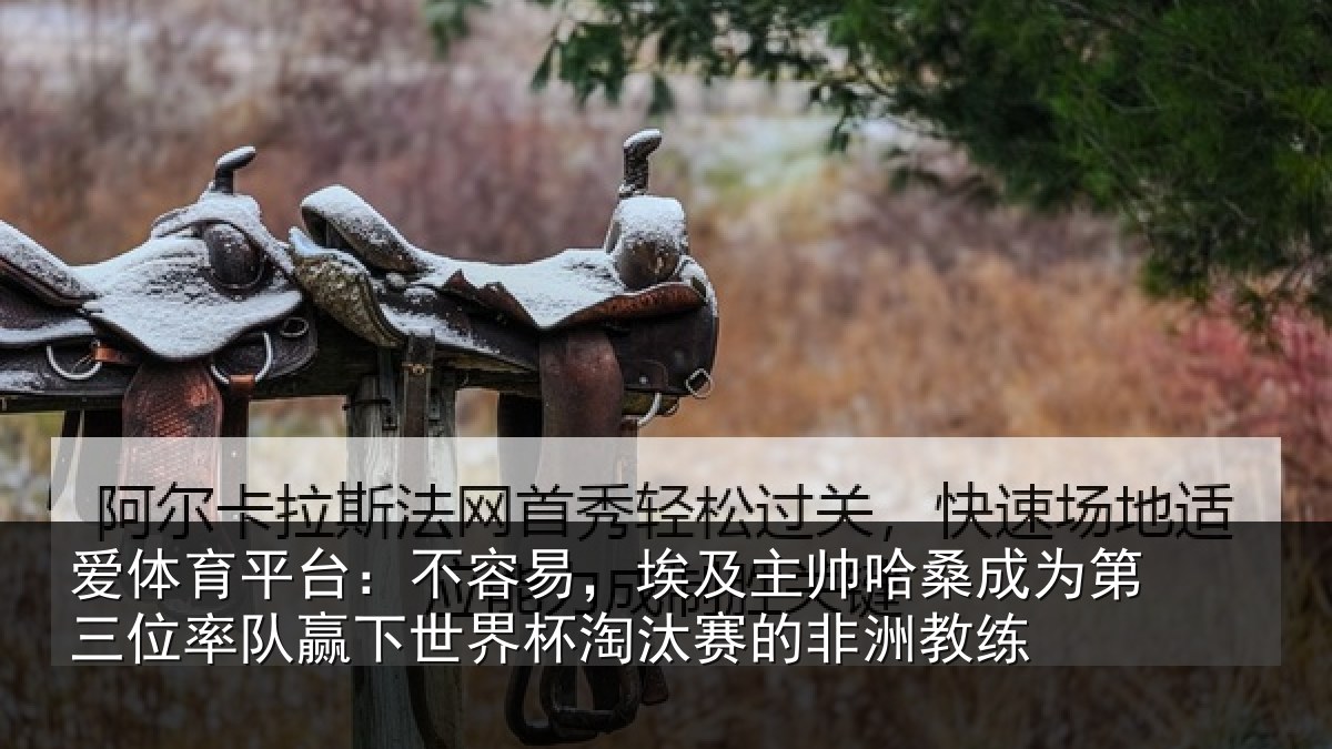 爱体育平台：不容易，埃及主帅哈桑成为第三位率队赢下世界杯淘汰赛的非洲教练