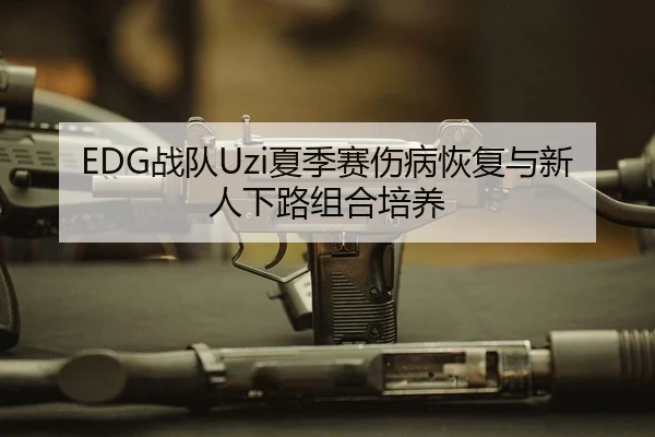 EDG战队Uzi夏季赛伤病恢复与新人下路组合培养